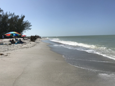 Alison Hagerup Beach