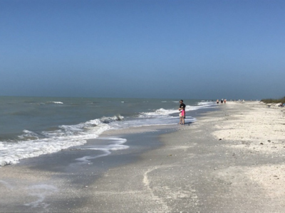 Sanibel Beach